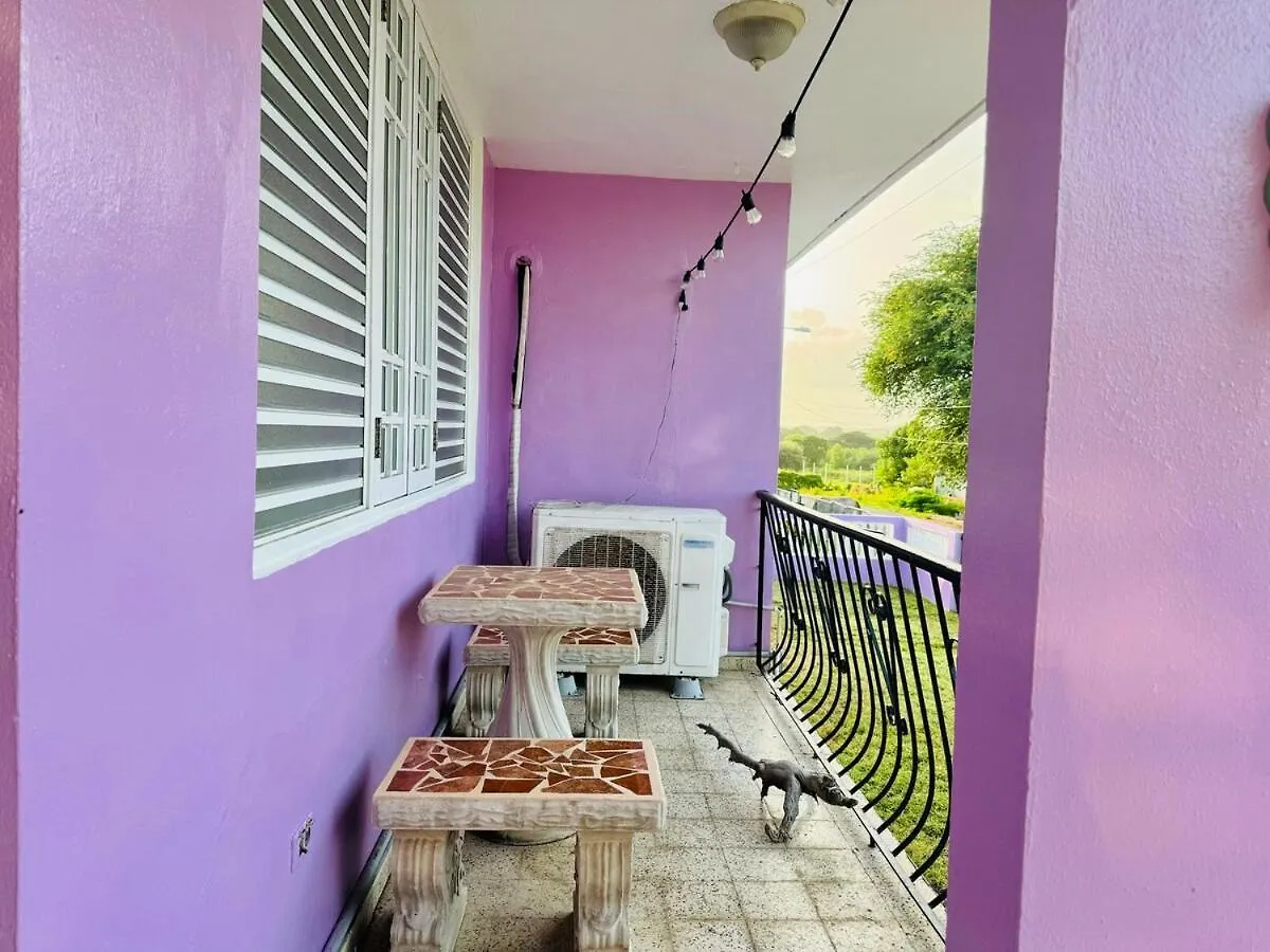 Purple Sunset - Walk To Malecon & Beaches Vieques Porto Riko