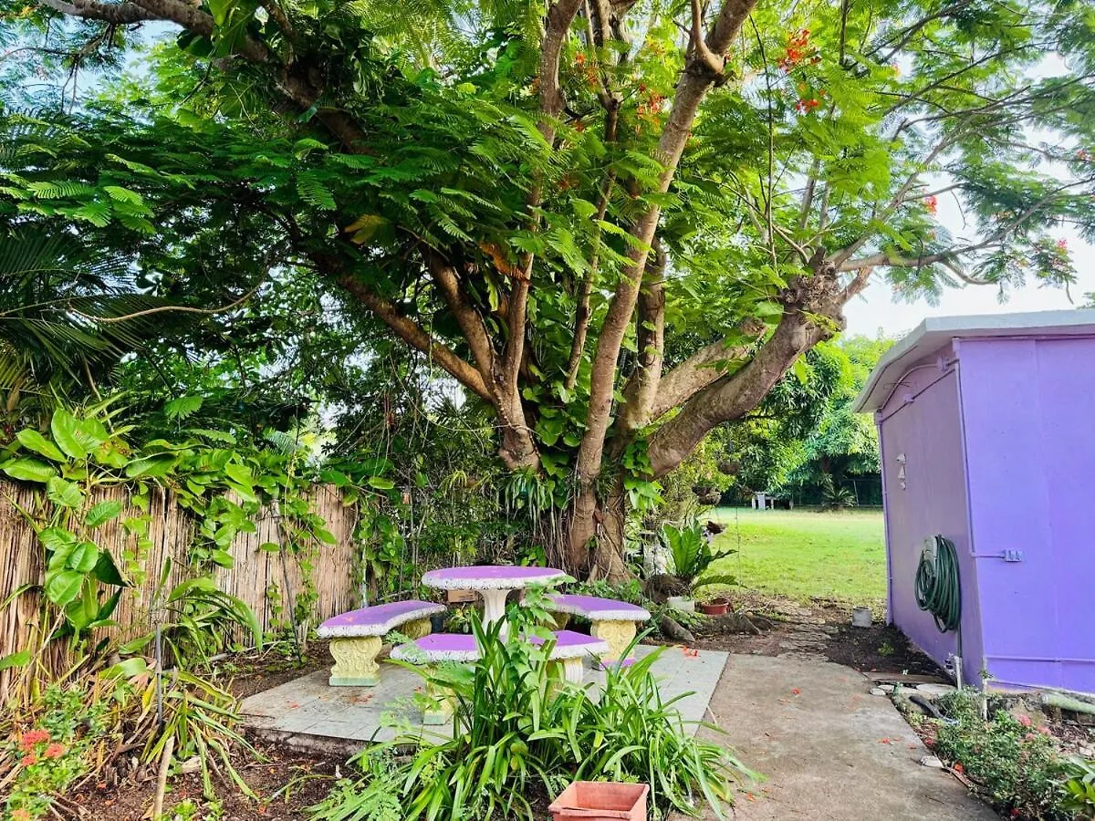 Tatil Evi Purple Sunset - Walk To Malecon & Beaches Vieques