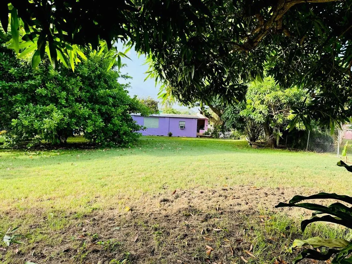 Tatil Evi Purple Sunset - Walk To Malecon & Beaches Vieques