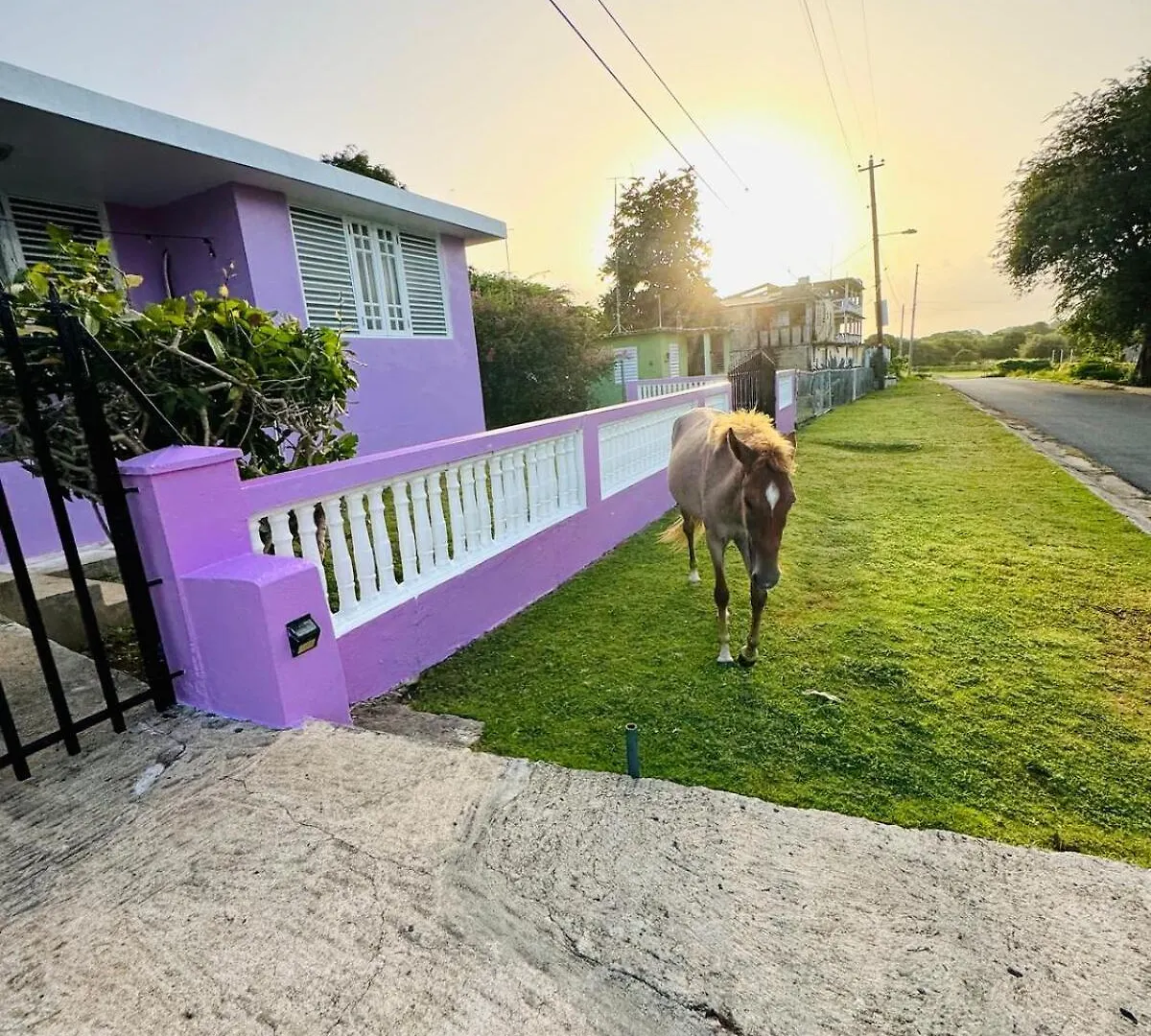 Tatil Evi Purple Sunset - Walk To Malecon & Beaches Vieques